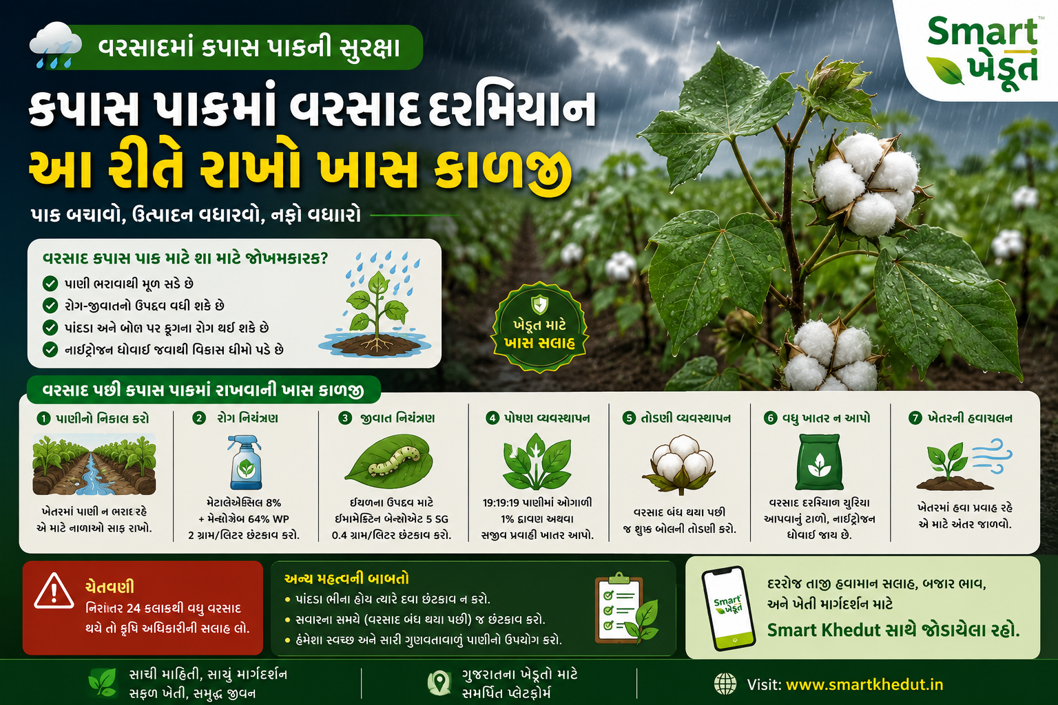 કપાસના ખેતરમાં વરસાદ પછી પાણીનો નિકાલ અને માવજત