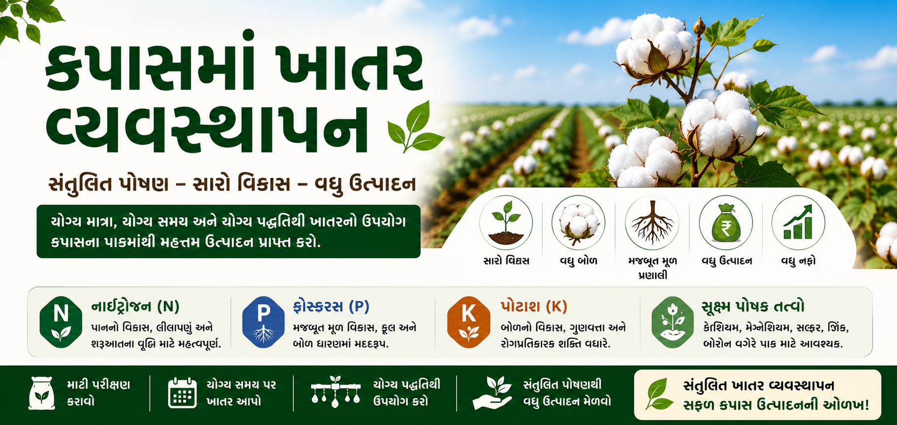 કપાસમાં ખાતર વ્યવસ્થાપન માર્ગદર્શિકા: NPK, માઇક્રોન્યુટ્રિઅન્ટ્સ અને ફર્ટિગેશન શિડ્યુલ