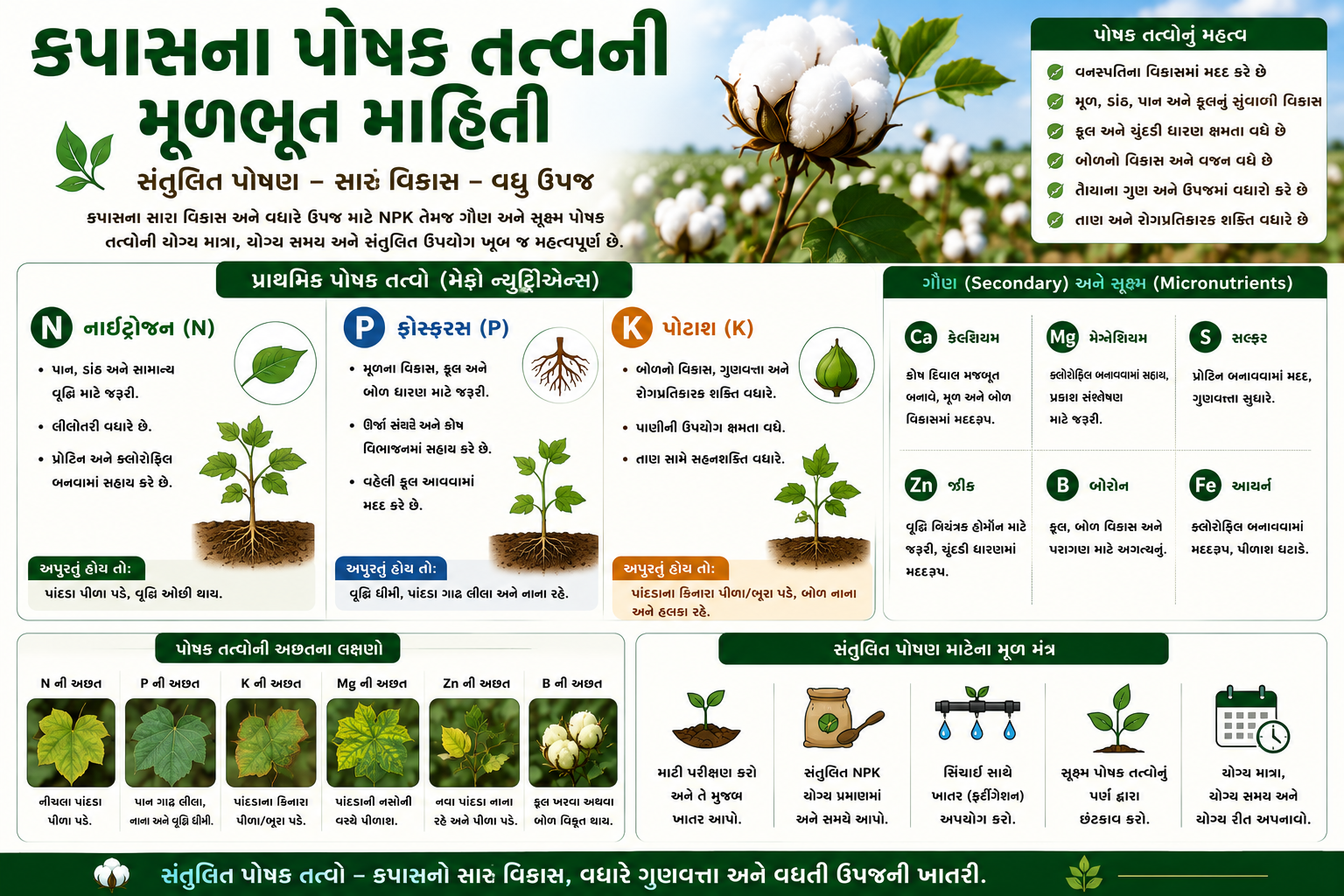 કપાસના છોડ માટે નાઈટ્રોજન, ફોસ્ફરસ અને પોટાશનું મહત્વ