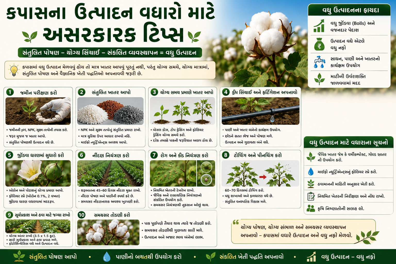 કપાસનું ઉત્પાદન વધારવાની સ્માર્ટ ખેતી ટિપ્સ