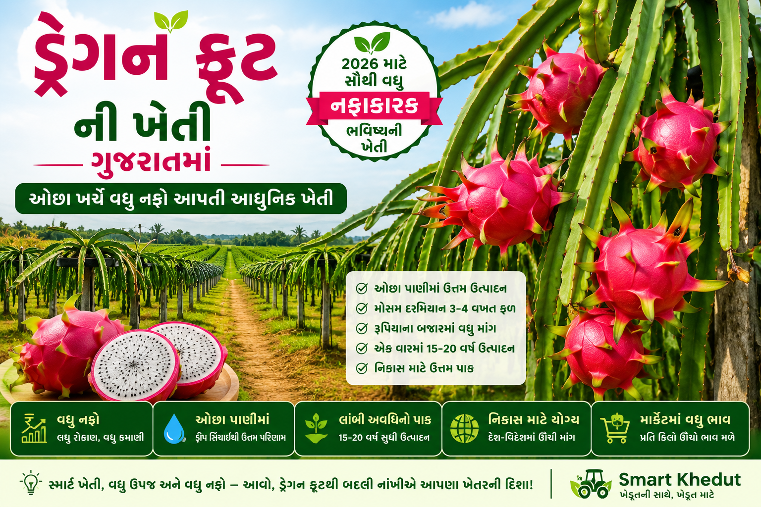 ગુજરાતમાં ડ્રેગન ફ્રૂટની ખેતી