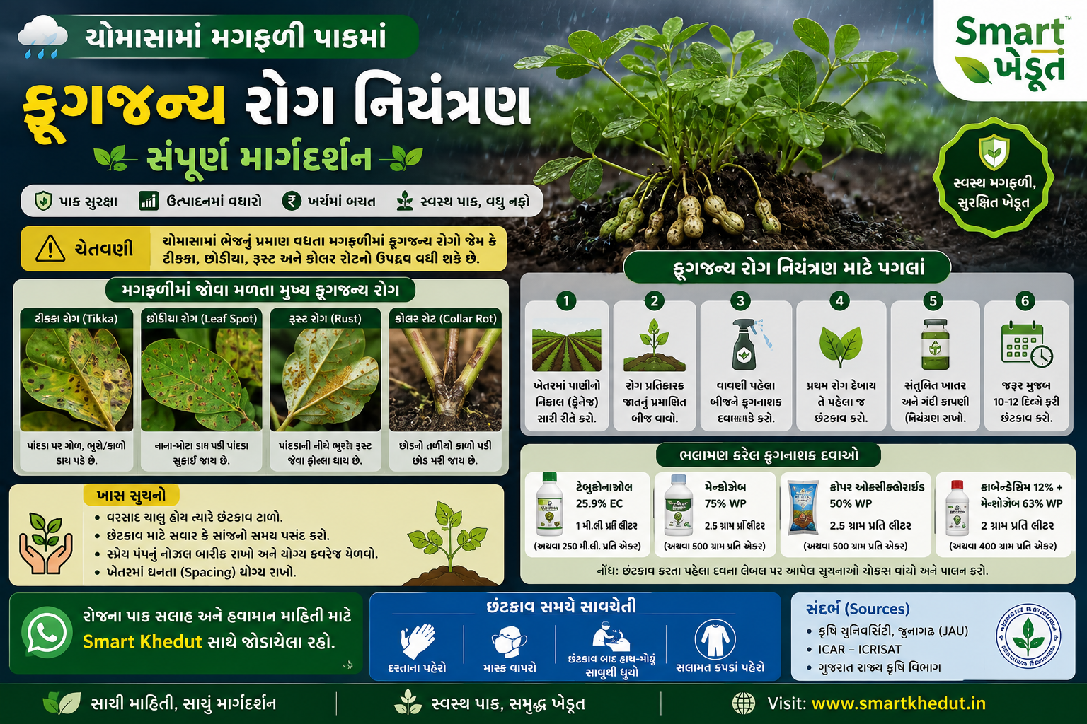 મગફળીના પાકમાં ફૂગ નિયંત્રણ માટે ડ્રેન્ચિંગ
