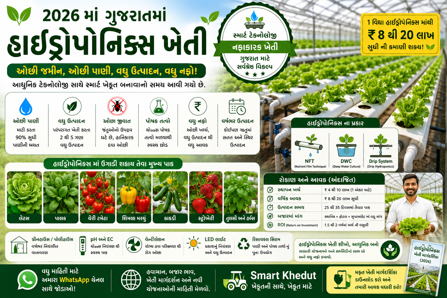 હાઇડ્રોપોનિક્સ ખેતી