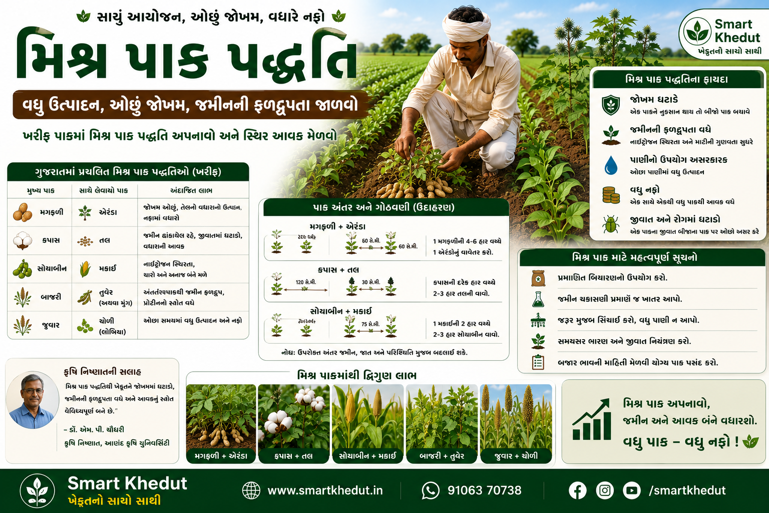 ગુજરાતમાં ખરીફ સીઝનમાં મિશ્ર પાક પદ્ધતિ
