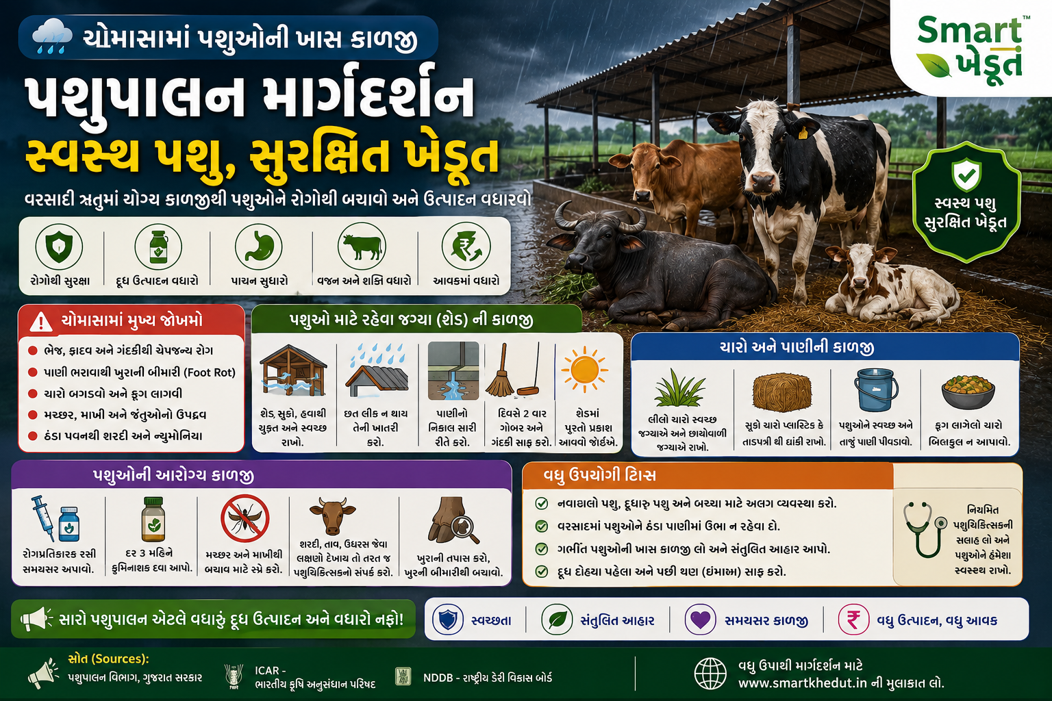 ચોમાસામાં પશુઓ માટે સુરક્ષિત શેડ અને માવજત