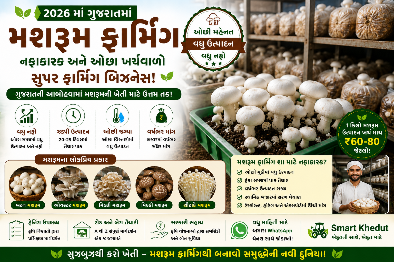 મશરૂમ ફાર્મિંગ
