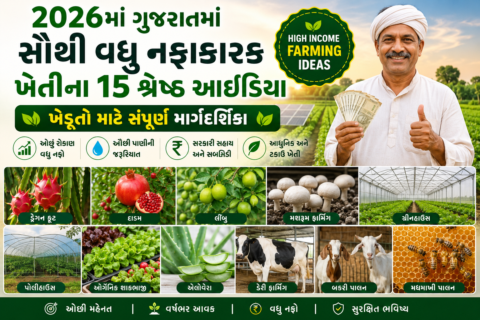 2026માં ગુજરાતમાં સૌથી વધુ નફાકારક ખેતીના 15 શ્રેષ્ઠ બિઝનેસ આઈડિયા | ખેડૂતો માટે સંપૂર્ણ માર્ગદર્શિકા