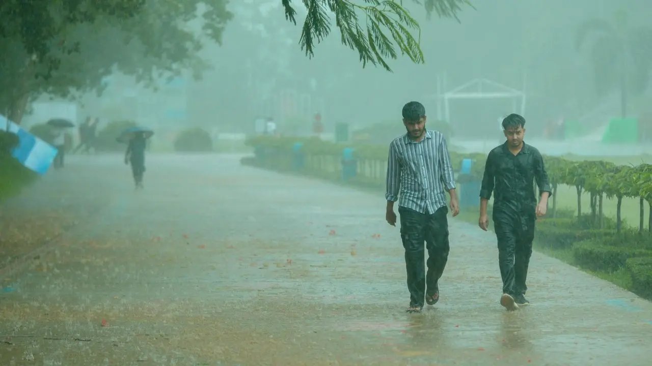 દિલ્હી અને ઉત્તર પશ્ચિમમાં વધુ વરસાદ માટે કૌંસ છે કારણ કે IMD વ્યાપક વરસાદની આગાહી કરે છે