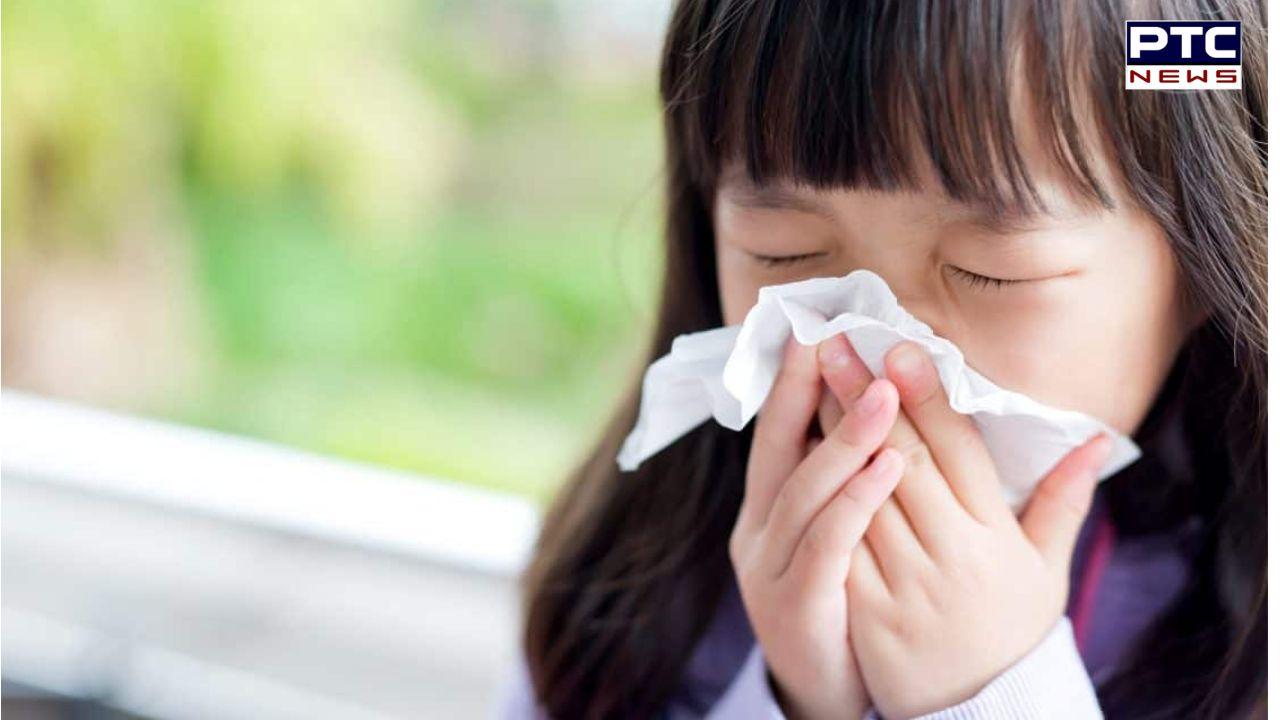 Chandipura virus outbreak in Gujarat: Symptoms, treatment & who's at risk | FAQs