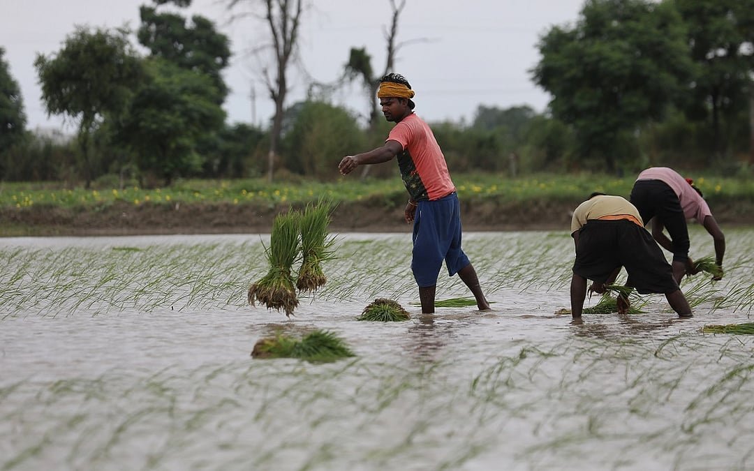 Drought spreads despite heavy rainfall events as kharif crops face moisture stress