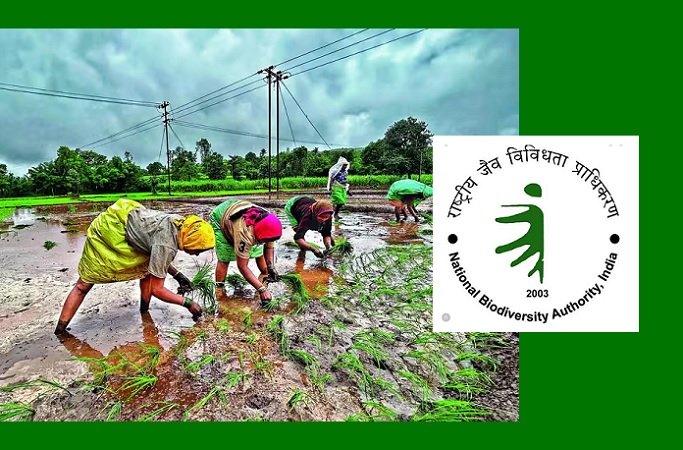 NBA disburses around Rs. 3.79 Cr under Access and Benefit Sharing mechanism