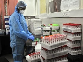No Chandipura virus in Telangana, but doctors call for vigilance
