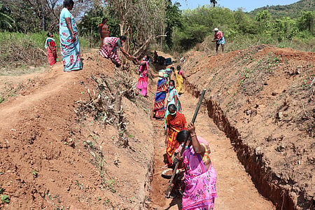 Gujarat government removes 8.1 lakh MGNREGA job cards, 25.6 lakh workers in five years