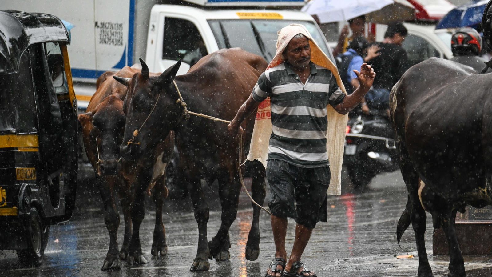 Mumbai IMD alert on July 24: Intense showers to continue in city; relief in Thane, Palghar