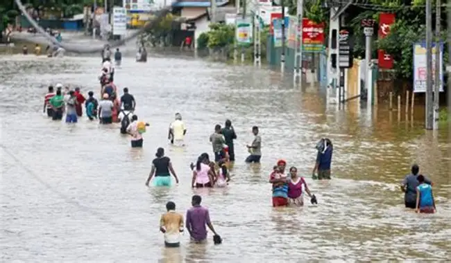 Gujarat Health Department Activates Control Measures Amid Heavy Rainfall