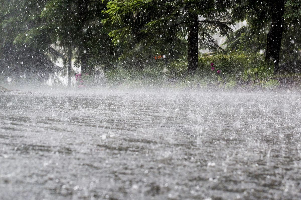 IMD issues heavy rain and strong wind alert in 25 states till August 31, know the weather conditions