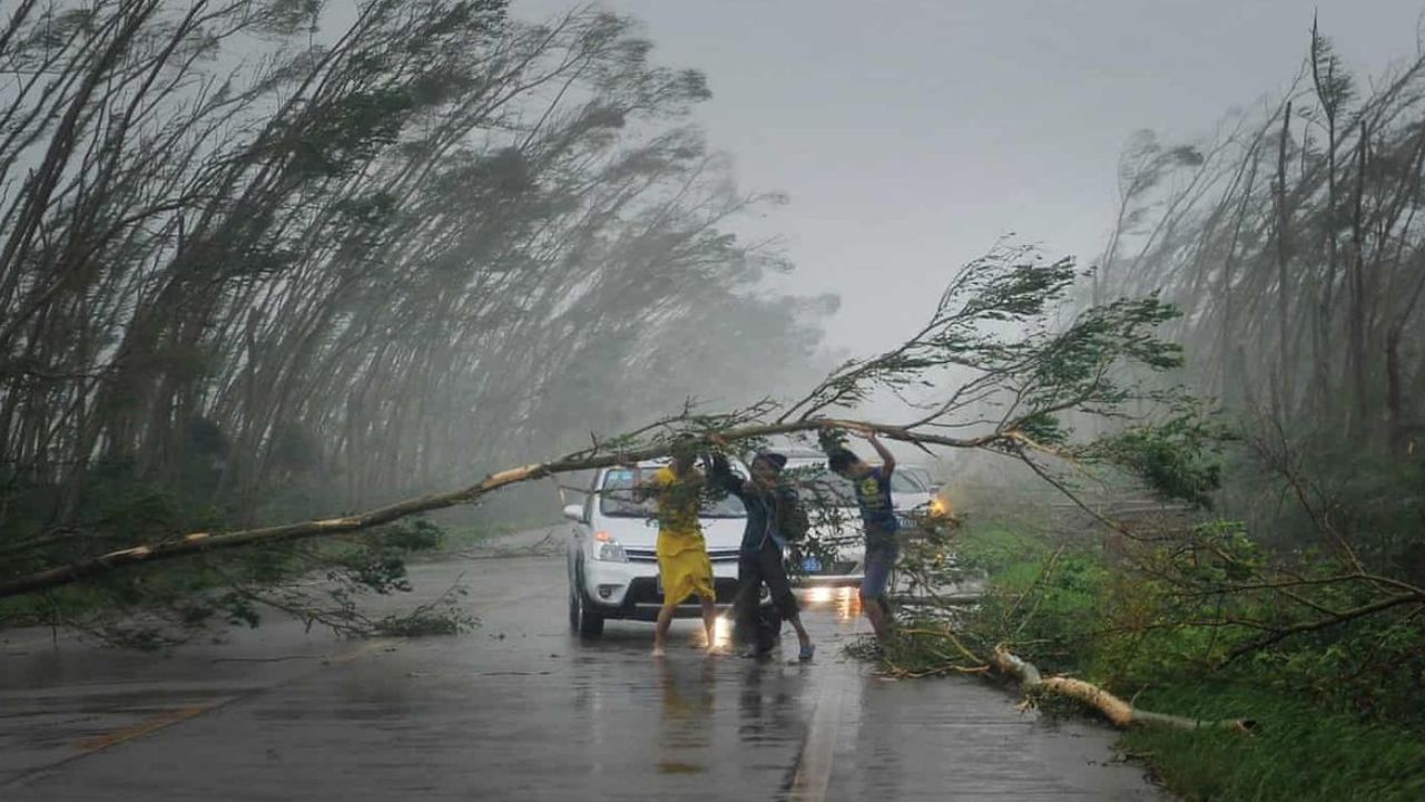 Weather Today July 24: Is Your City In Danger? IMD Warns of Heavy Rain, Hail And Fierce Winds In 16 States