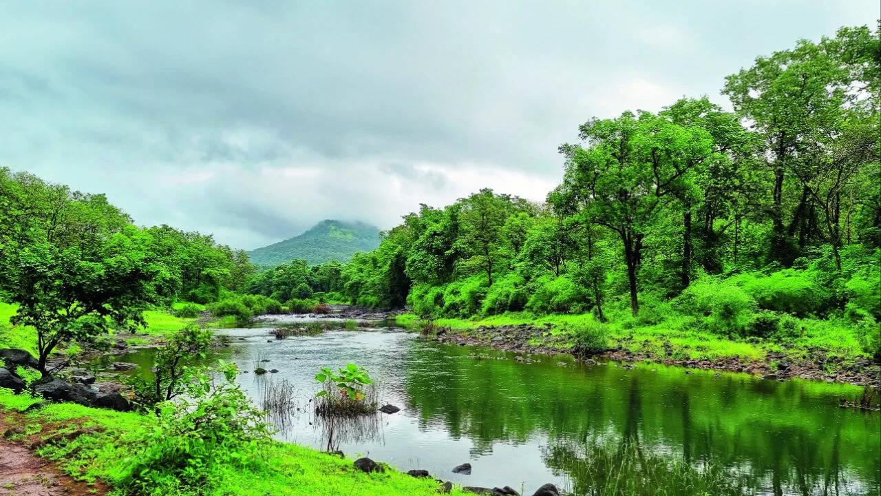 Centre notifies 7th draft for ecological zones in Western Ghats