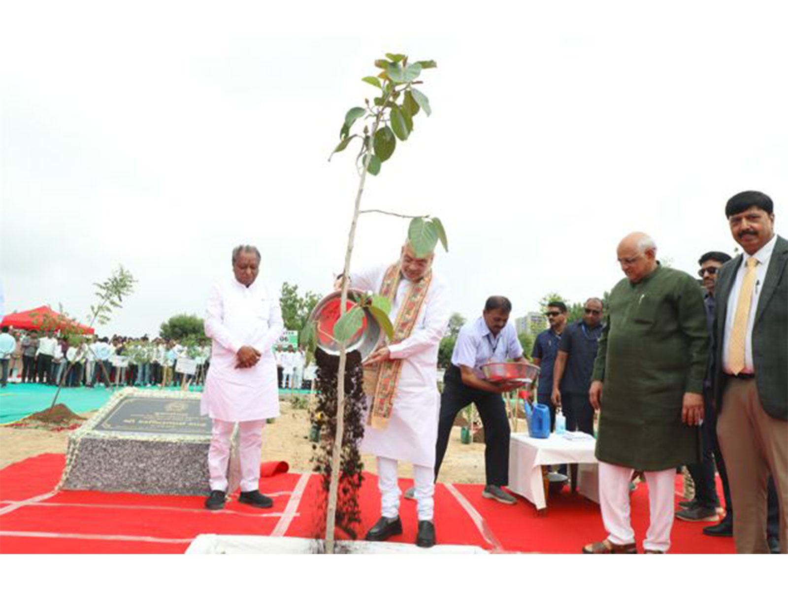 Amit Shah Leads Large-Scale Tree Plantation Initiative at Sabarmati Ashram Gaushala