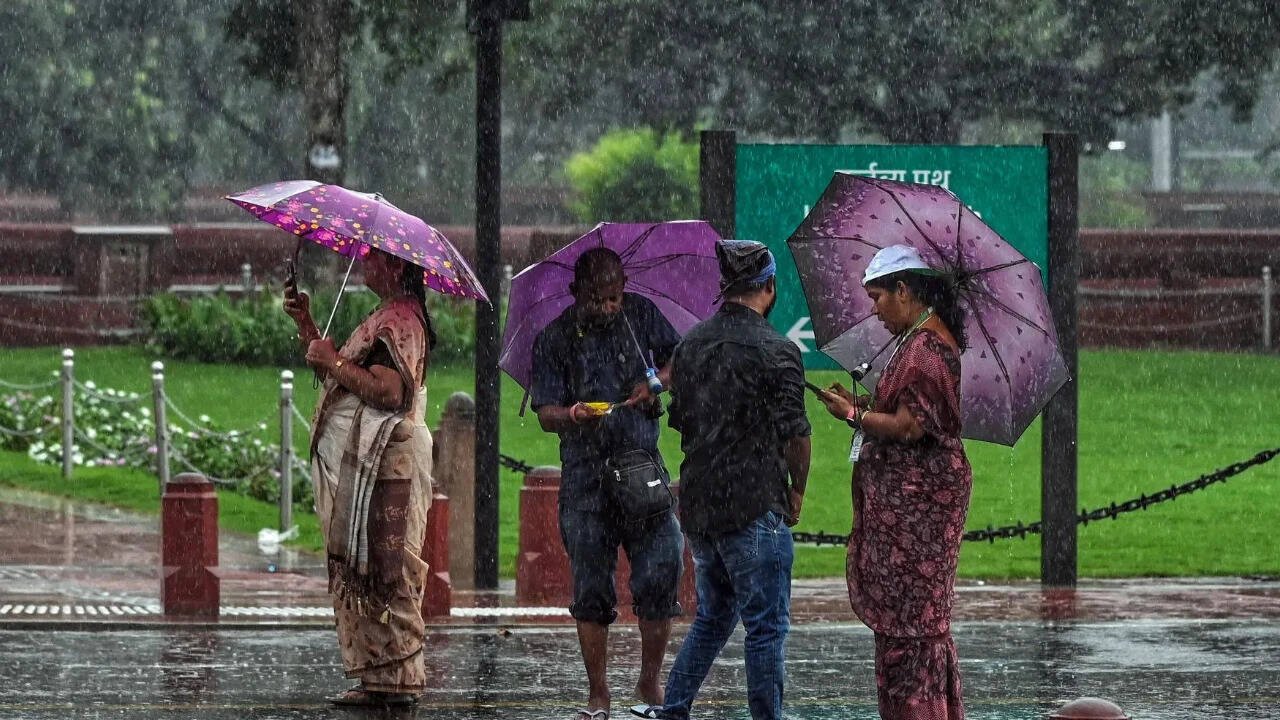 આવતીકાલે હવામાન: IMD કેરળના 7 જિલ્લાઓ માટે નારંગી ચેતવણી જારી કરે છે; અનેક રાજ્યોમાં ભારે વરસાદની શક્યતા