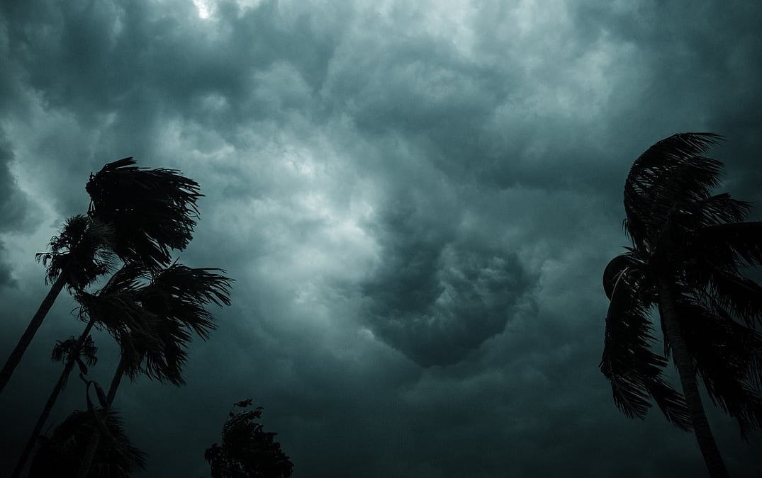 Daily weather tracker: Monsoon regains momentum as IMD issues heavy rain alerts across North, East and Northeast India