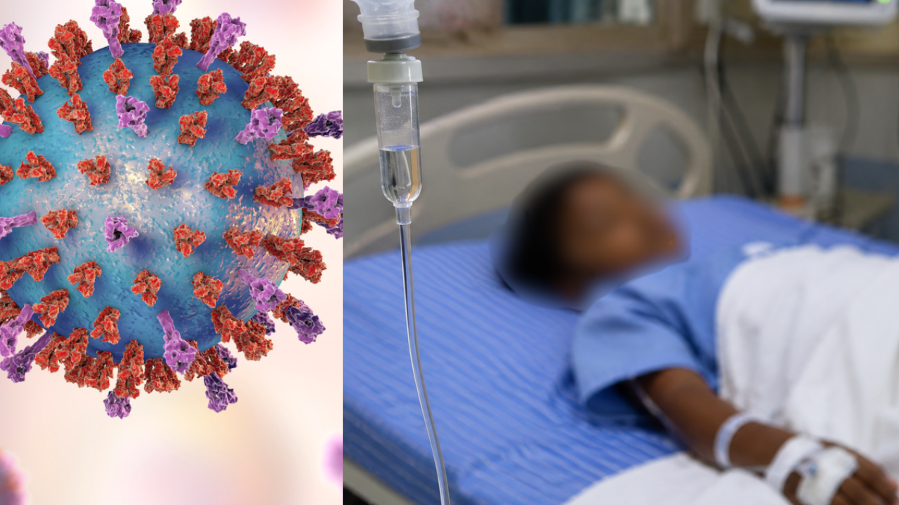 Chandipura virus claims 22 children in Gujarat this monsoon; 35 cases confirmed