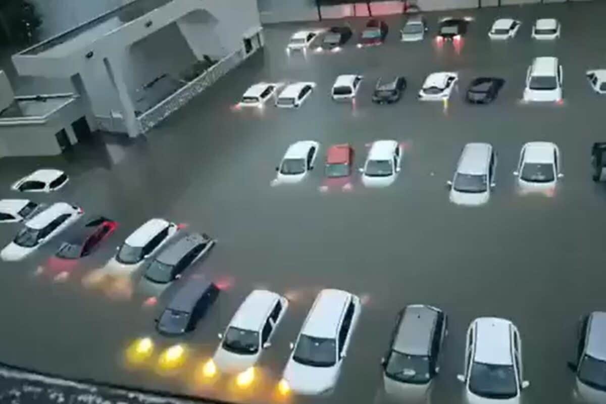 Over 50 Cars Submerged In Valsad As Gujarat Records 1,100 mm Rain In 16 Hours, Video Goes Viral