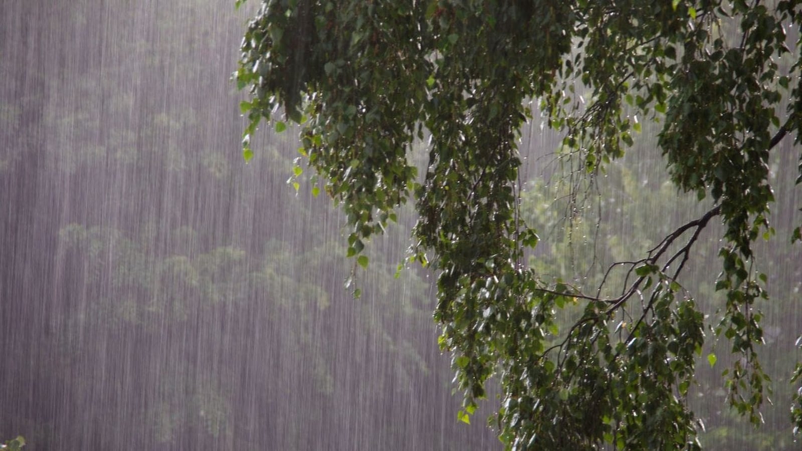 Skymet sees August rainfall 10% below normal as monsoon takes a break