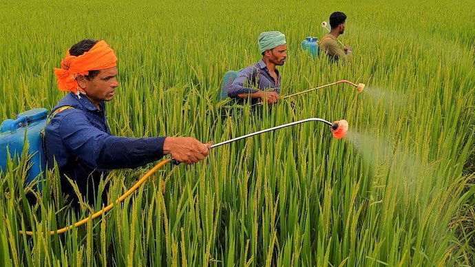 सरकारी आंकड़ों से पता चलता है कि 2,000 से अधिक खाद्य नमूनों में कीटनाशक अवशेष सुरक्षा सीमा से अधिक हैं।