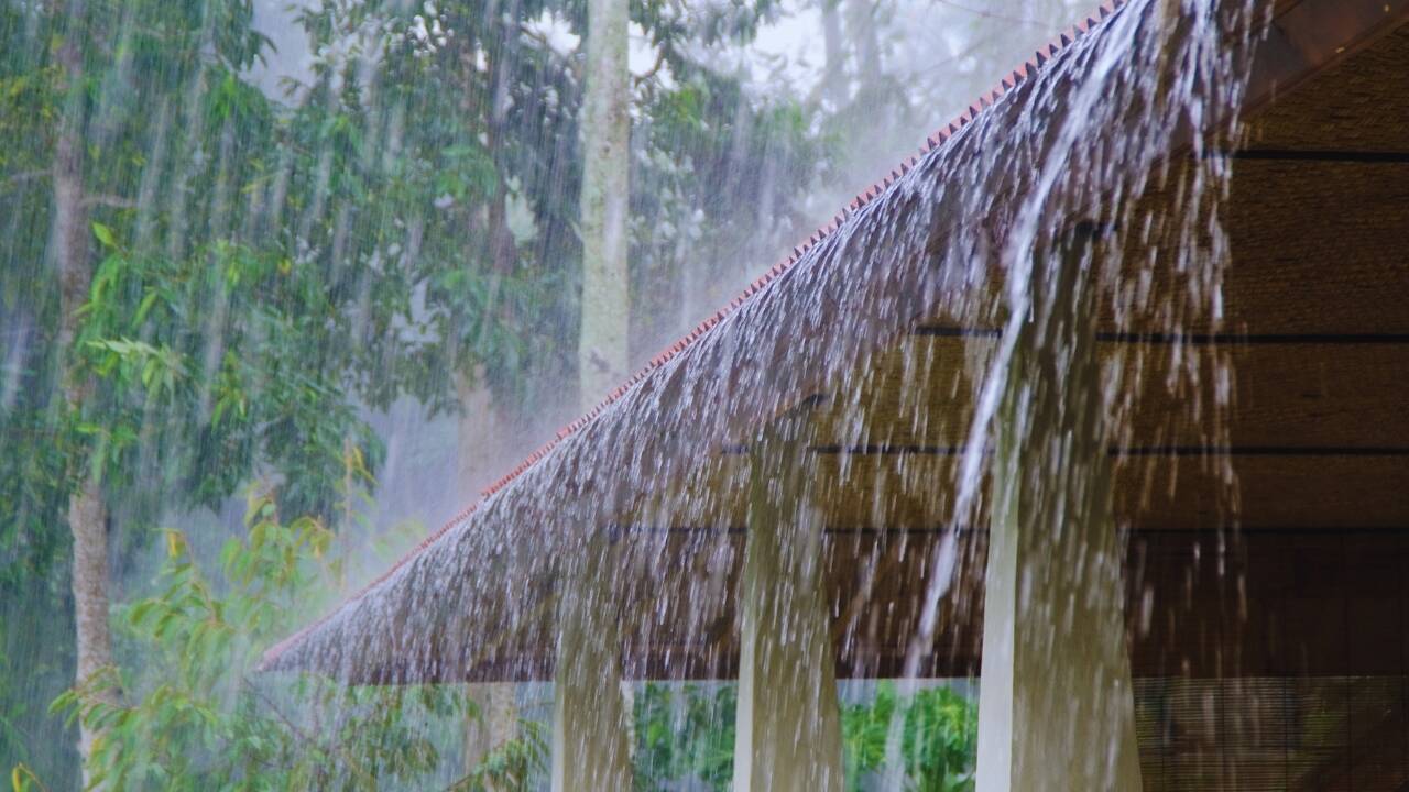 From Delhi to Odisha: Heavy to extremely heavy rainfall expected across India; IMD warns of flooding and travel disruptions