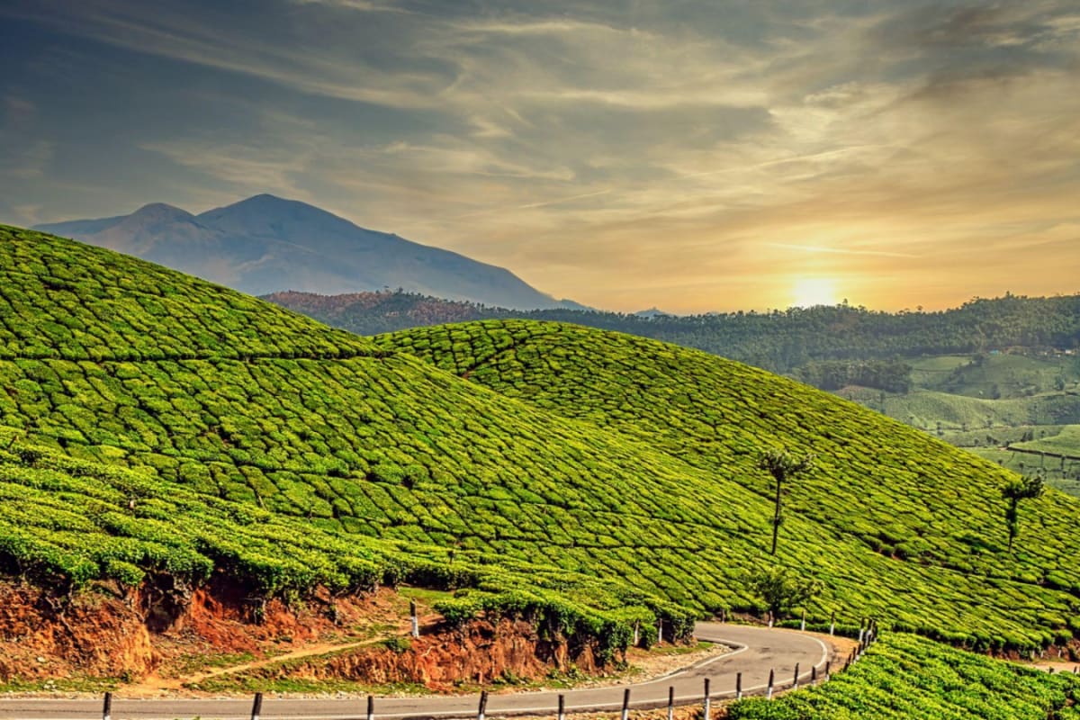 India To Get Greener By 2100, But That May Not Mean Healthier: Decoding The Study
