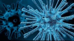 Chandipura Virus (CHPV)
