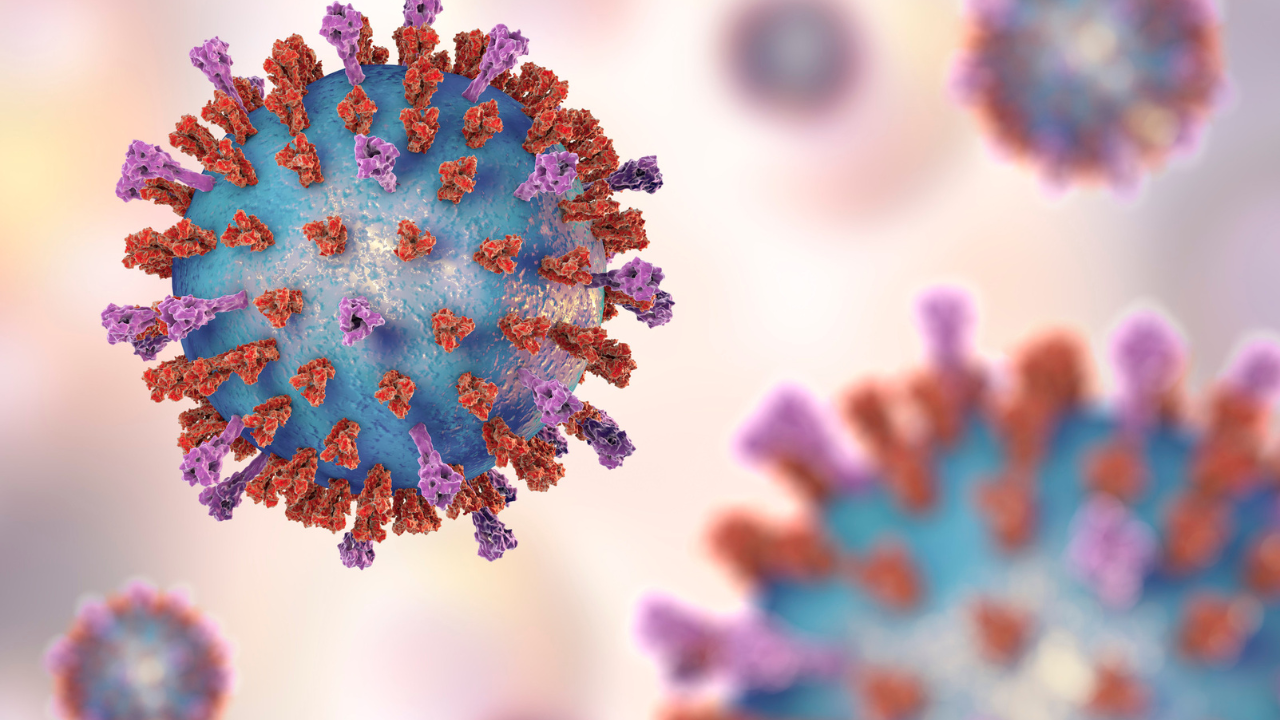 What is Chandipura Virus? Why this rare infection is raising concern again, and what every parent should know