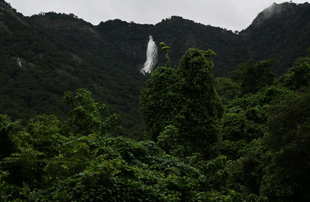 Centre reissues notification on Western Ghats eco-sensitive zone amid deadlock with States