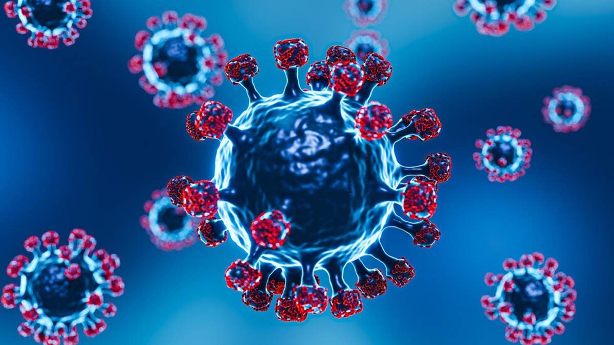 Chandipura Virus Claims Lives of 22 Children in Gujarat