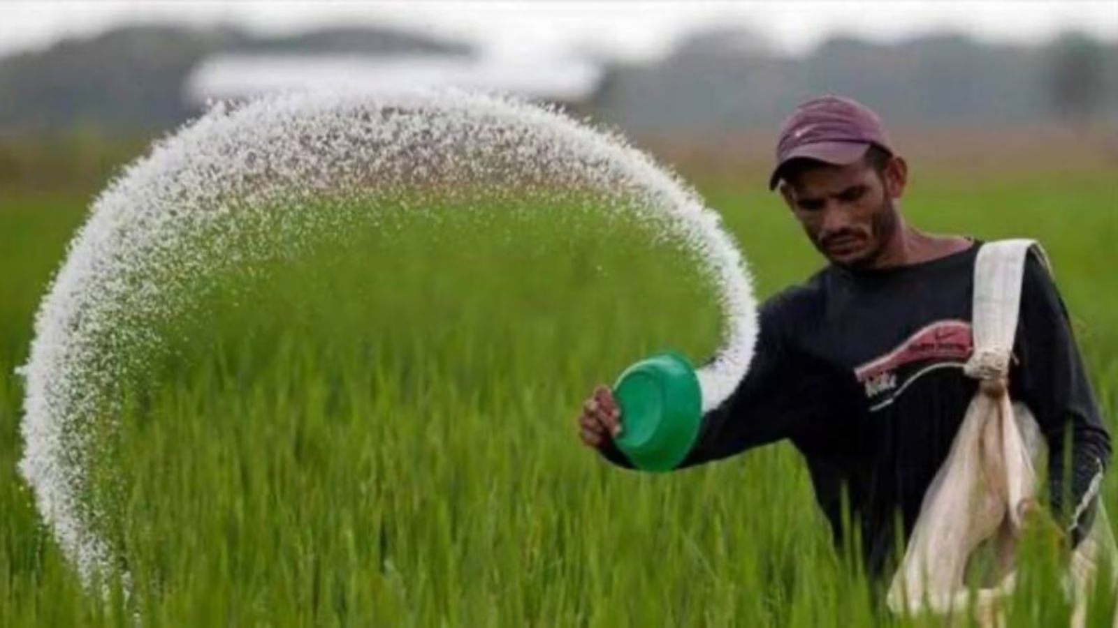 Kharif sowing slows as rain deficit hits over half of India’s districts