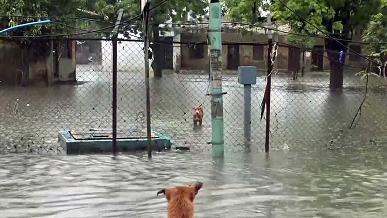 Monsoon Fury: Gujarat on Red Alert Amid Approaching Bay of Bengal Storm