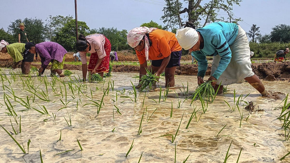 Kharif sowing slows by 3% amid deficient monsoon and El Nino concerns
