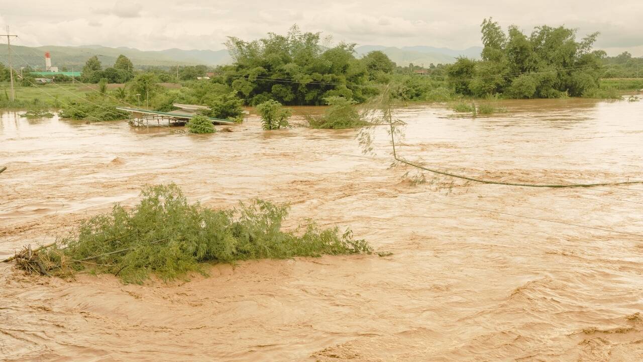 Heavy rain to lash multiple states this week as IMD flags flood threat and thunderstorms; what travellers need to know