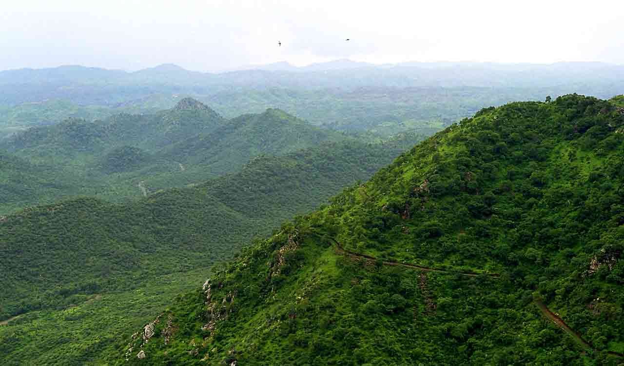 Mining in the backyard: Aravalli villages bear the brunt of blasting and dust