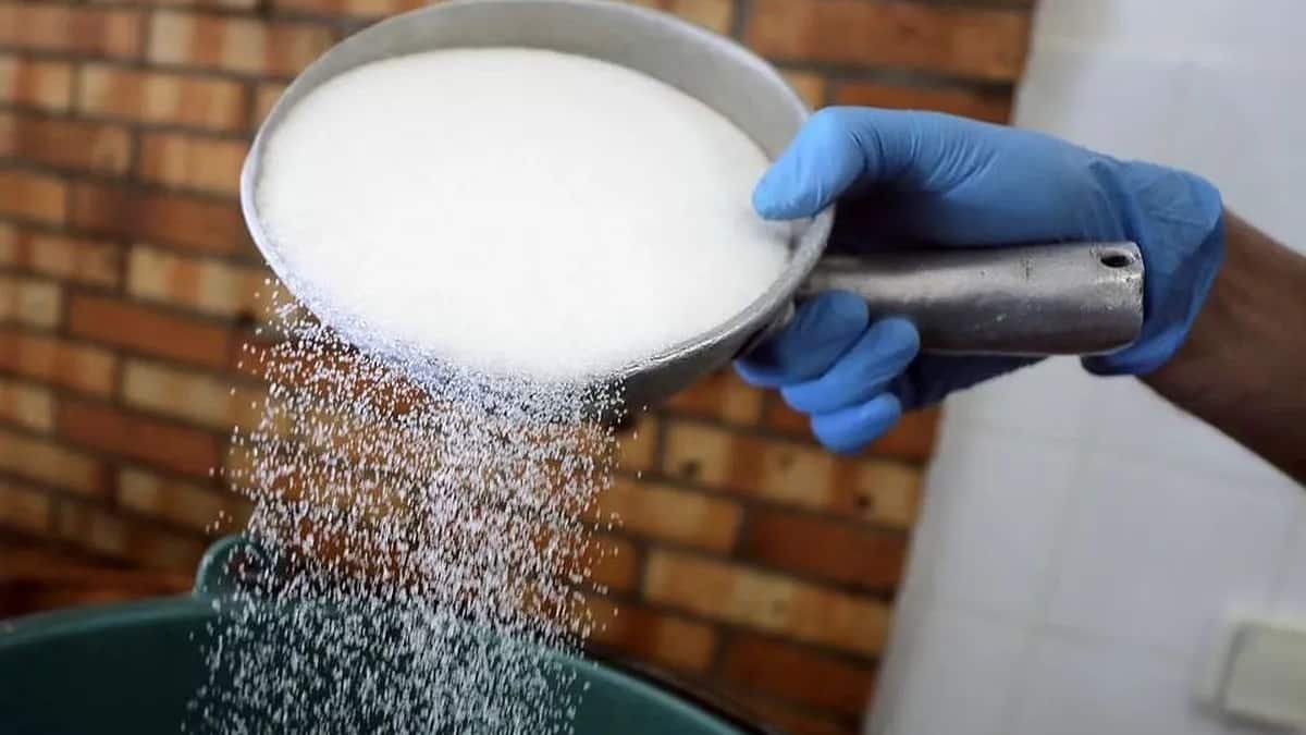 Sugar prices spike in India: How red rot disease, El Niño and Iran war is to blame