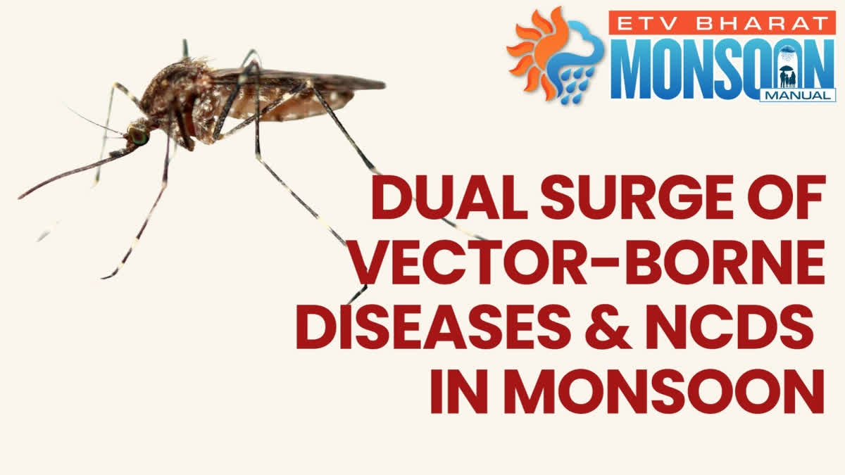 Monsoon diseases