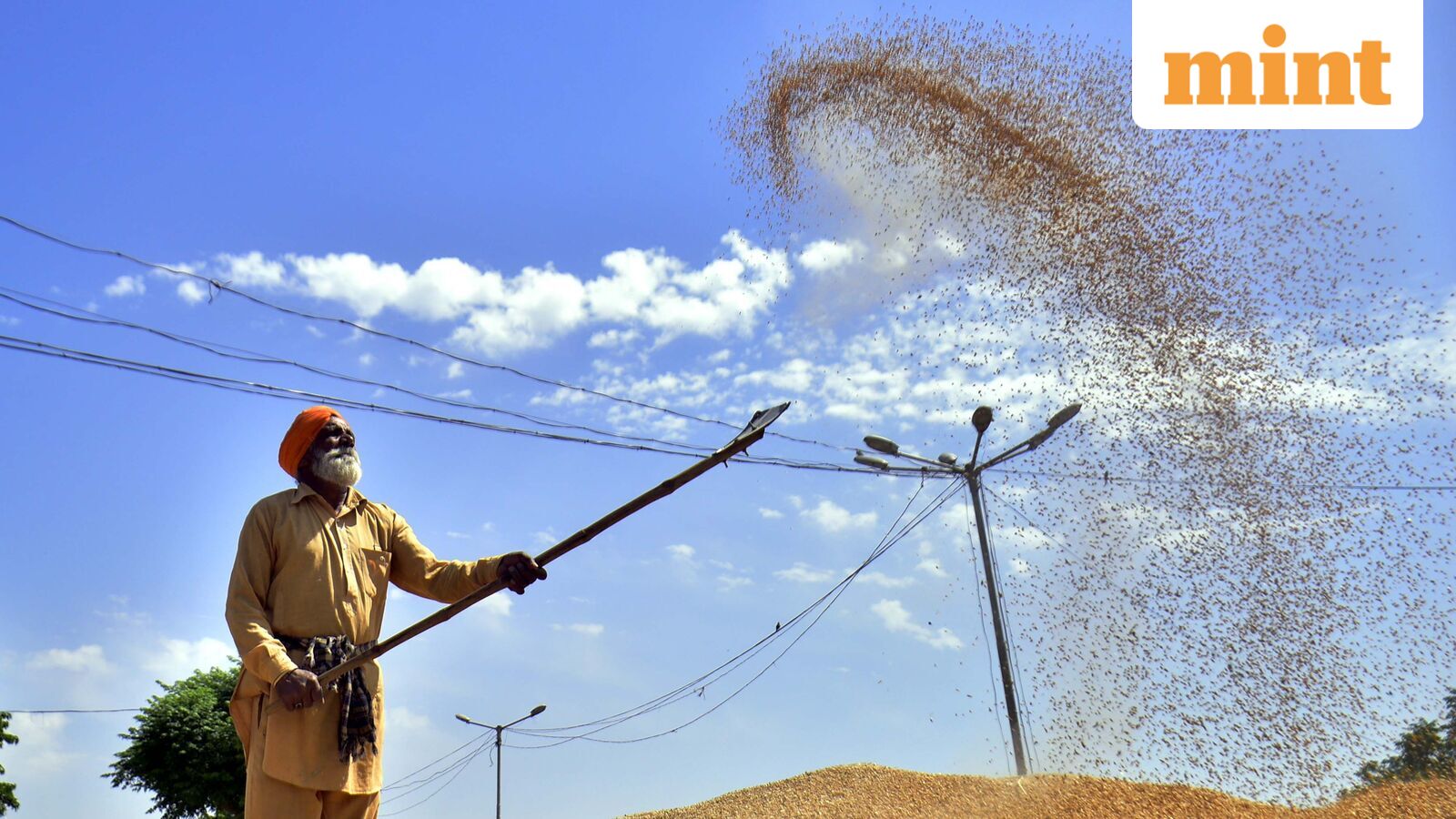 Kharif sowing lags last year’s pace by 2.9% despite July monsoon revival