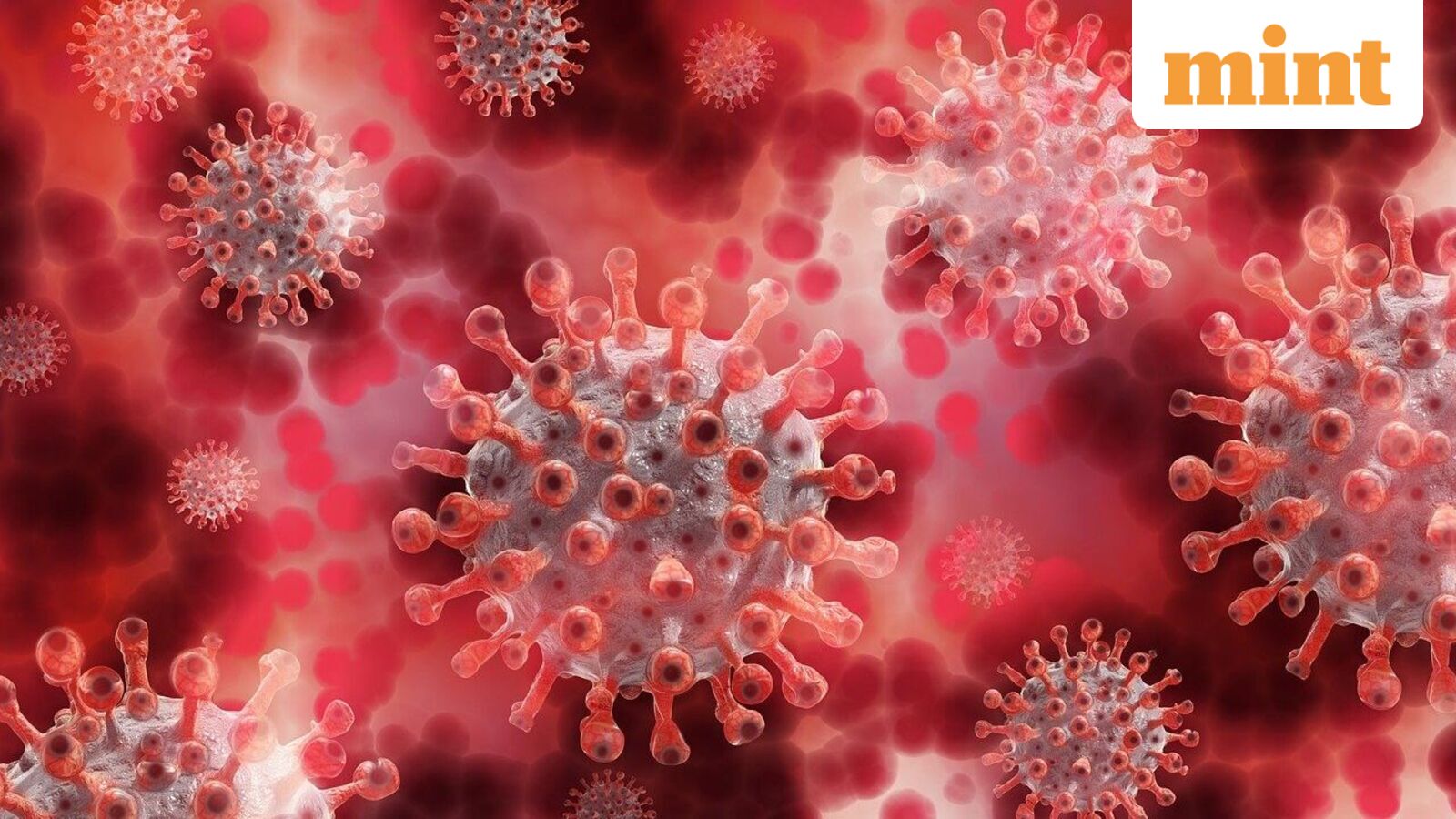 Chandipura virus outbreak: Centre deploys national response team to Gujarat and Rajasthan