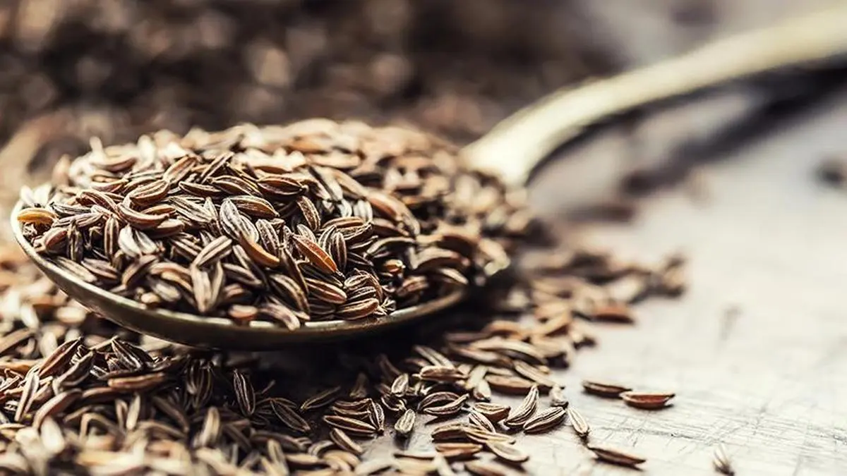 Gujarat’s Unjha cumin and fennel get Geographical Indication tag