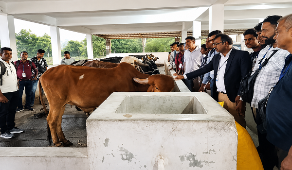 India to Train Sri Lankan Dairy Farmers in Milk Production and Farm Management