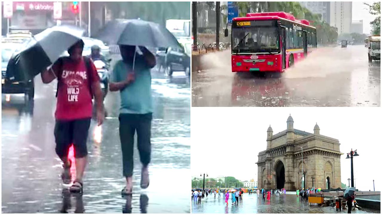 મહારાષ્ટ્ર હવામાન, 12 ઓગસ્ટ: IMD દ્વારા ભારે વરસાદની ચેતવણી જારી, શું આવતીકાલે શાળાઓ બંધ રહેશે? - મુંબઈ, પુણે, નાગપુર, પાલઘર માટે આગાહી તપાસો