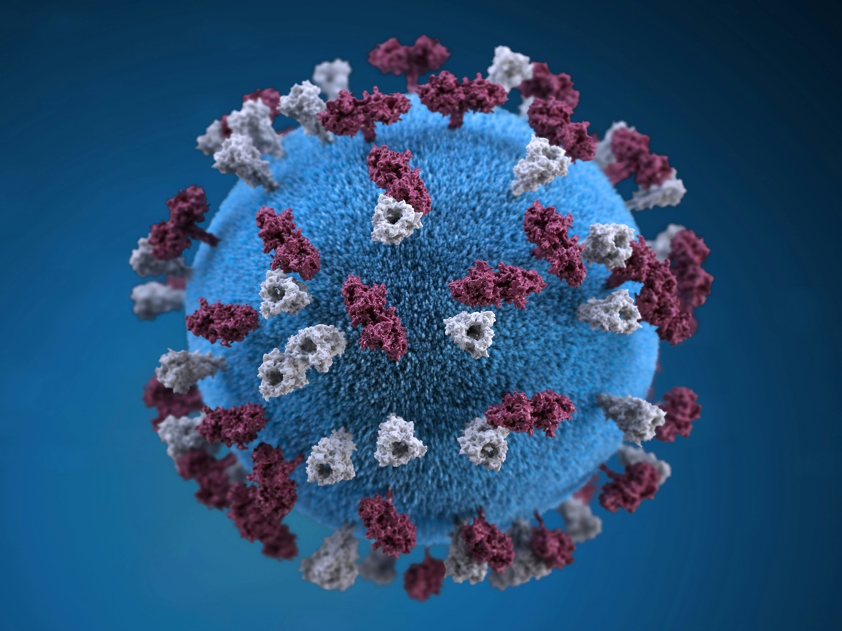 What Is Chandipura Virus? Gujarat Outbreak Claims 12 Lives in a Month; Check History, Name-Origin, Symptoms, Treatment, Vaccine and More