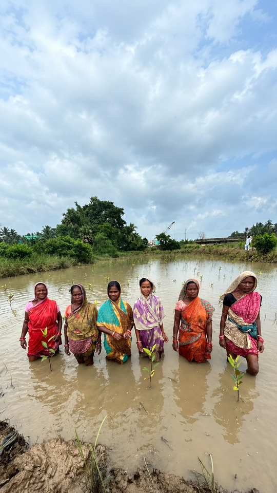 The Villages That Outsmarted Floods With Nature, Not Concrete