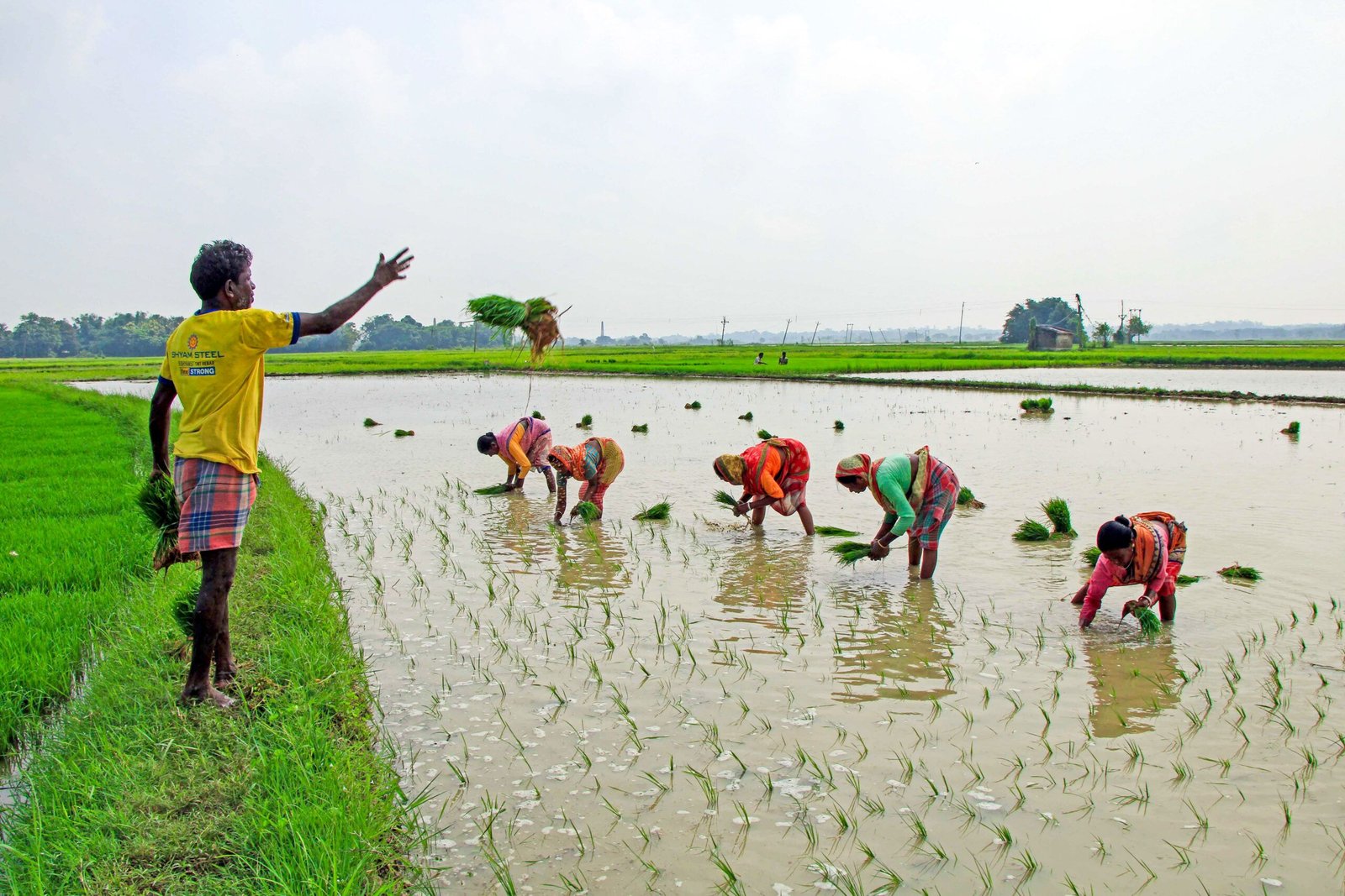 India’s monsoon improves, eases risks for Kharif crop: Report